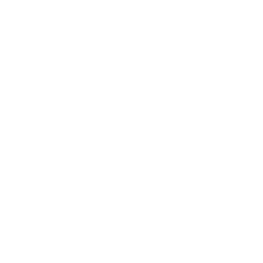 Rigo's